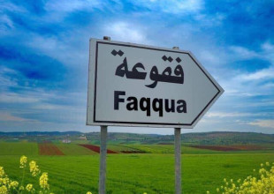 تقديم الخدمات في ظل التحديات: مجلس فقوعة نموذج للصمود المحلي والتعاون المجتمعي